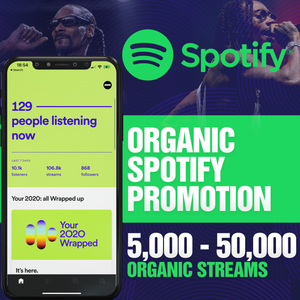 Spotify Promotion Campaign Monthly