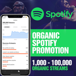 Real & Targeted Spotify Campaign